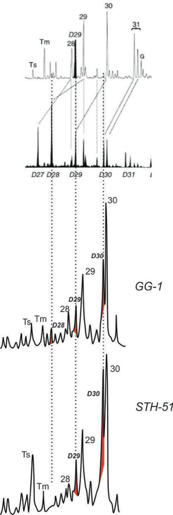Comparativa de fragmentogramas
m/z 191 correspondientes a los crudos STH-51 y GG-1