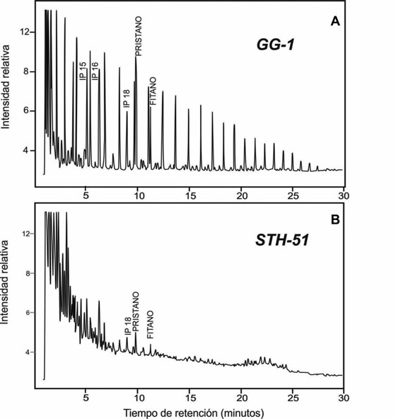 Cromatograma sobre la fracción saturada para las
muestras: A. GG-1 y B. STH-51