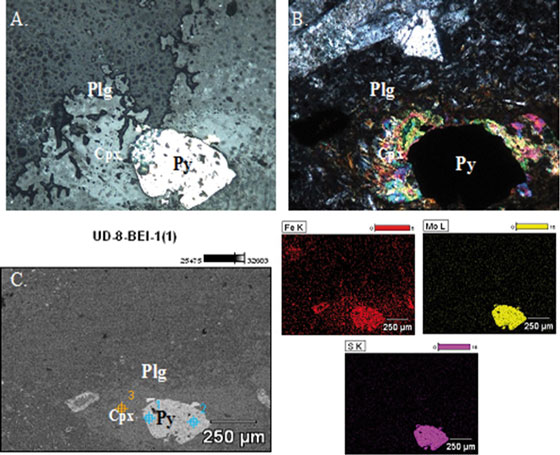 Imágenes microscópicas de dacita muestra
UD-01.