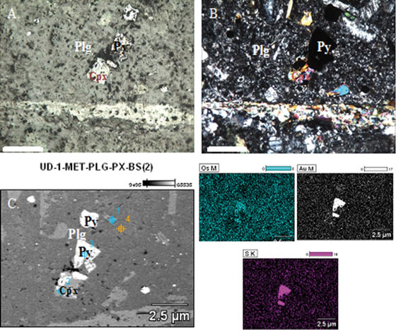 Imágenes microscópicas de andesita
muestra UD-08.