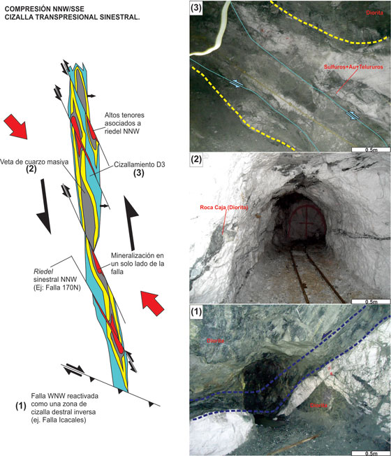  Esquema del modelo estructural en la
mina Los Mangos, mostrando los controles estructurales y los estilos de la
mineralización. Tomado y modificado de Starling (2015).