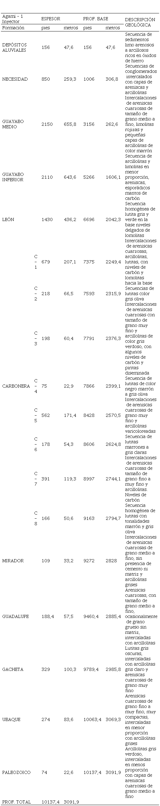 Unidades Litoestratigráficas
registradas en el pozo inyector Agami – 1, vereda la Urama, Tauramena Casanare.