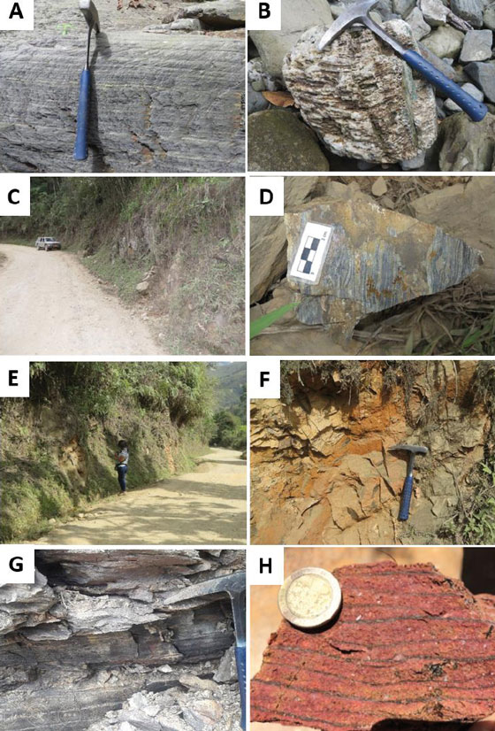 Aspecto general de algunas litologías
Paleozoicas aflorantes en área de los municipios de
Mogotes y San Joaquín (Sector SW del Macizo de Santander).