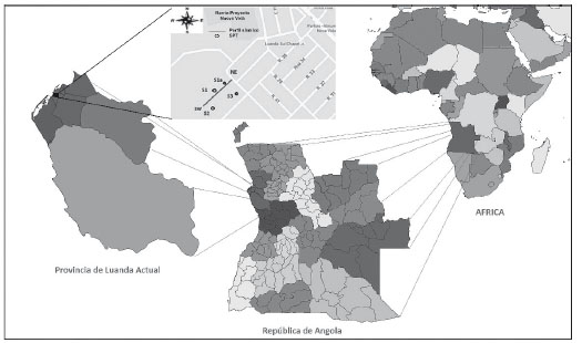 LOCALIZACIÓN DEL ÁREA DE ESTUDIO Y LÍNEAS SÍSMICAS
ANALIZADAS (ADAPTADO DE GOOGLE MAP).