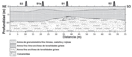 PERFIL LITOLÓGICO OBTENIDO CON LOS ENSAYOS DE SPT DE CAMPO.