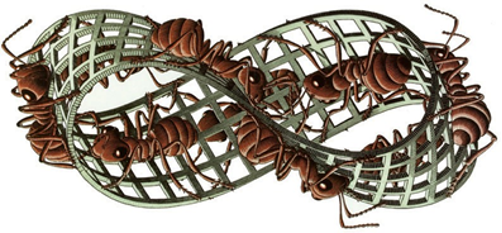 Figura 1. Banda de Moebius