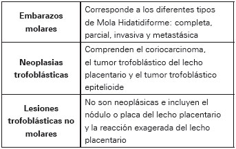 
Clasificación histológica de la ETG.
