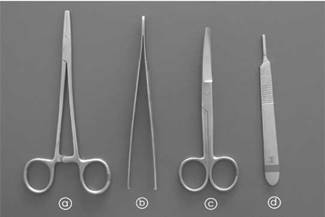 Principios en técnicas suturas de piel: una guía Médicas UIS