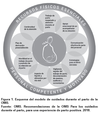 Vista de La epidemia de cesáreas como limitante del parto