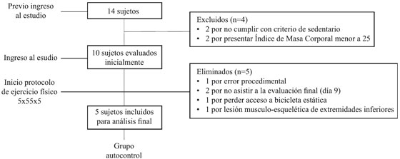 Flujograma
descriptivo de la determinación de la muestra utilizada en la investigación.