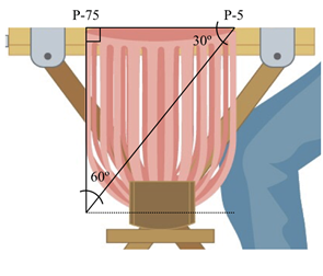 Figura 2. Medidas canasta