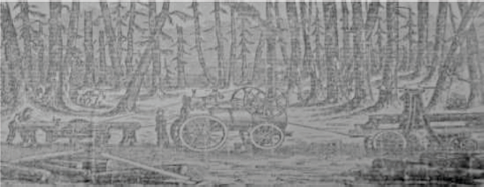 Litografía de “Elaboración de maderas Cesar Gleisner. Aserraderos en Gorbea y Loncoche.46
