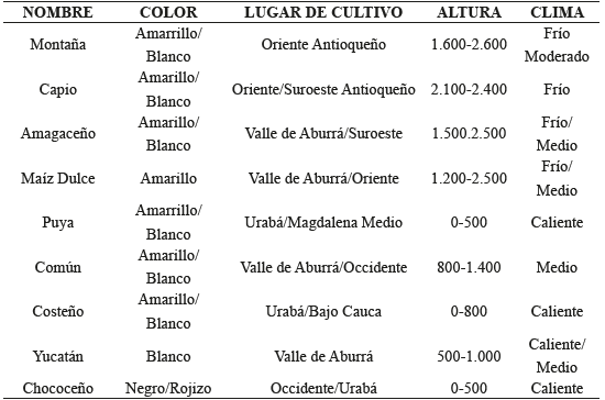 Razas de maíz criollo en Antioquia a mediados de siglo XX