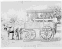 (Derecha) Primer coche introducido al Valle por Santiago M. Eder, Palmira, C., 1890