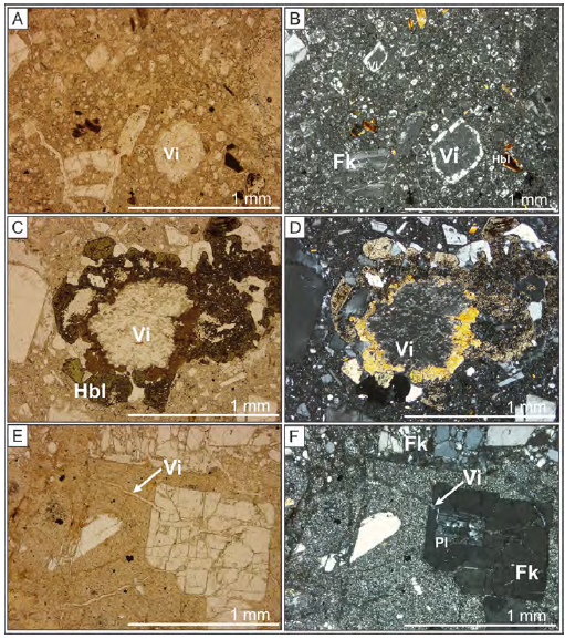 Fotomicrografías que muestran el reemplazamiento de los núcleos de los cristales por vidrio volcánico (Vi). A. y B. Núcleos de feldespato reemplazados por vidrio. C. y D. Cristal de anfíbol con núcleo reemplazado. E. y F. Vidrio entrando a microfenocristales de plagioclasa, dentro de fenocristal de feldespato potásico.