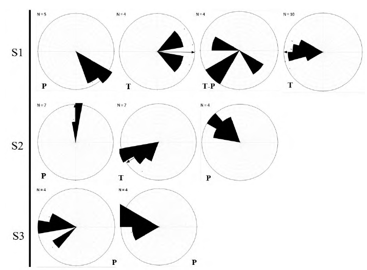 Paleocurrents patterns along the section. P= Planar cross bedding, T= Trough Cross bedding, S1= Set 1, S2= Set 2, S3= Set 3.