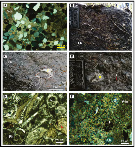 Facies and microfacies of the Upper Tibasosa Formation in the area of Loma Redonda, Firavitoba-Boyacá, Colombia.