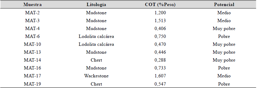 Valores de Carbono Orgánico Total (COT) en las muestras de la sección de Matanza. Potencial de hidrocarburos estimado según los rangos propuestos en Alexander et al. (2011).