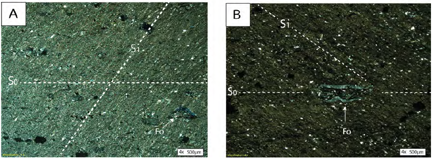 En las fotografías A. y B. se encuentran microfósiles paralelos a la laminación (Fo) de las arcillolitas E4D y E8A respectivamente. En ambas muestras se presenta una foliación sobreimpuesta (S1) a la sedimentación (S0).