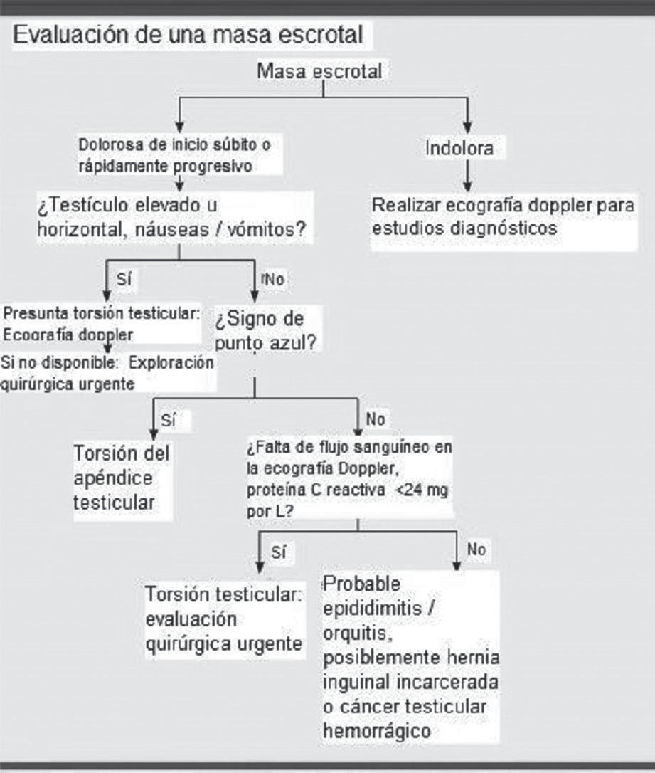 Algoritmo de enfoque del paciente con masa escrotal.