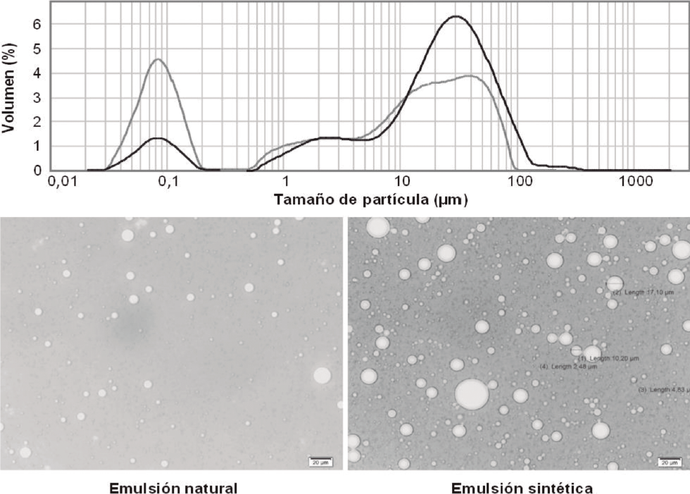 Gráfico de distribución, tamaño de partícula e imagen de microscopia de la emulsión directa natural y sintética (crudo troncal PG).