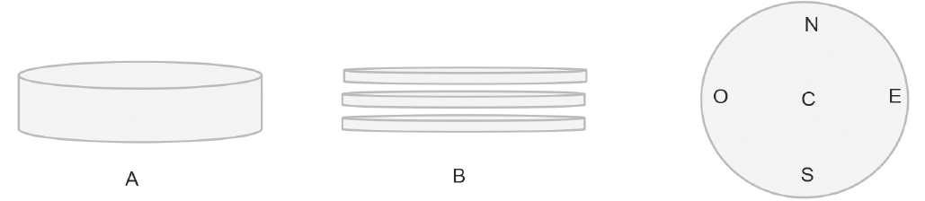 Esquema utilizado para la evaluación de la micobiota en los quesos, A= Queso completo, B= Queso en estratos, C= Puntos de evaluación.