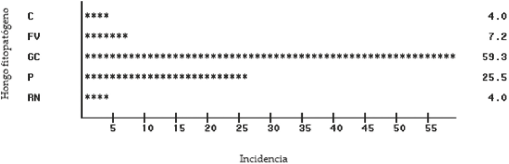 Porcentaje total de los hongos aislados en muestras de quesos artesanales en cinco localidades. C= Cladosporium sp., FV= Fusarium verticillioides, GC= Geotrichum candidum, P= Penicillium sp., RN= Rhizopus nigricans.