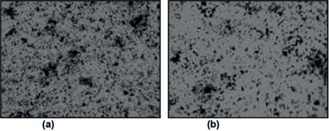 Microestrutura da amostra 2 com uma menor presença de poros em uma distribuição homogênea, região escura, sem ataque – (a) Aumento 200x – (b) Aumento 500x.