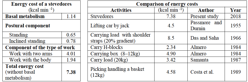 Stevedore’s energy cost and their comparison with other studies