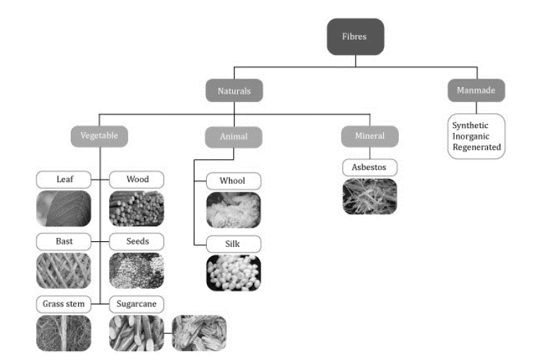 Classification of natural fibers according to their origin.