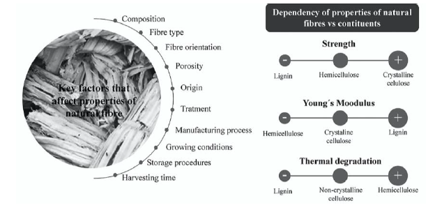 Aspects, factors and dependency of natural fibers with properties.