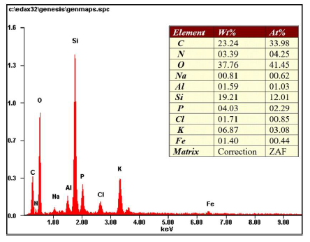 Microanálisis usando EDS a la muestra M4, activada en concentración alta.