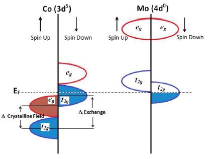 Spin distribution of the Co-d and Mo-d orbitals close to the Fermi level, which gives rise to half-metallic behavior.