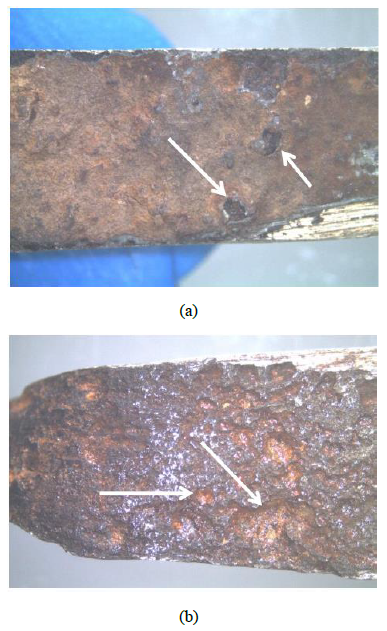 General corrosion and pitting presented in the samples: (a) Sample #1 and (b) Sample #2.