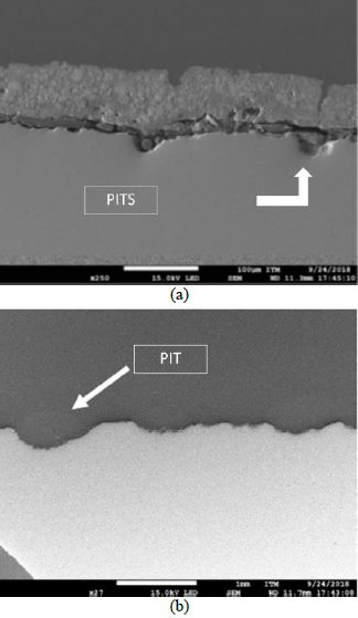 Transverse section of both samples in SEM: (a) Sample #1 and (b) Sample #2.