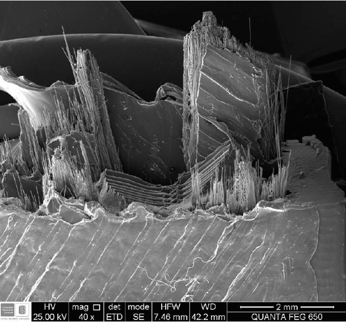 Imagen SEM de fractura por fatiga de espécimen con relleno triangular de 20%, y refuerzo de fibra de carbono orientado a 0° al 80% de la resistencia última.