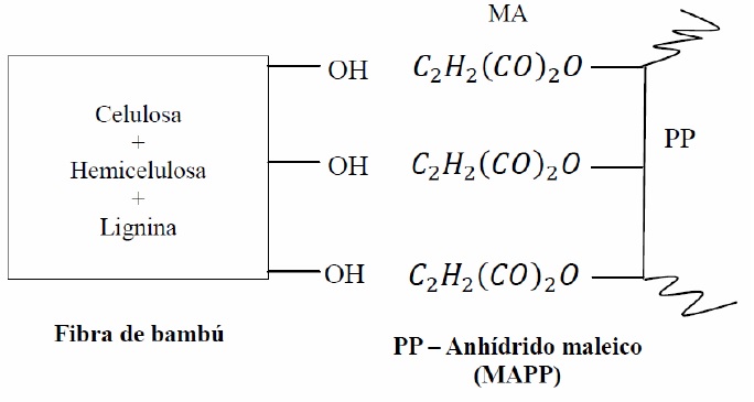 Representación esquemática de la interacción entre la fibra de bambú y la matriz PP/MAPP.