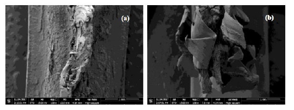 Imagen de MEB de superficies de fractura por tracción del PP homopolímero: (a) Sin envejecimiento térmico; y (b) con envejecimiento térmico a 100 °C durante 24 horas.