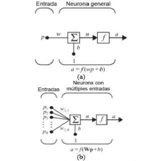 Representación de neuronas artificiales: (a) de una entrada y (b) de múltiples entradas