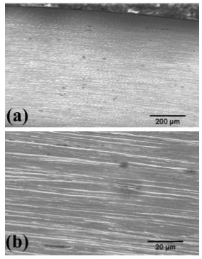 (a) SEM images with secondary electrons of the strand. (b) Zoom in on one of the strand areas