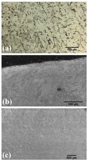 Zone 3 of additive manufacturing steel, evidence of a dendritic structure. (a) Image by optical microscopy, right lateral zone of the last layer, (b) Image by scanning electron microscopy of the left lateral zone of the last layer, (c) Image by scanning electron microscopy of the last layer in the central zone.