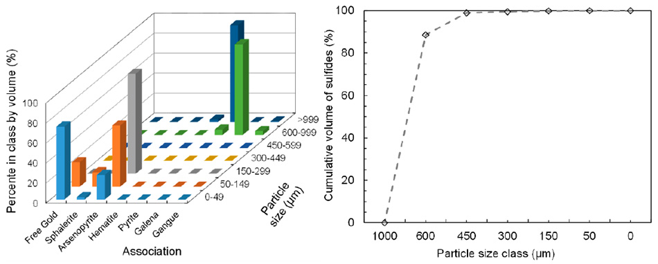 Liberation degree for the different mineral as a function of the sulfide percent (left), and the sulfide grain cumulative distribution (right)