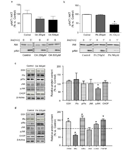 Effects of OLA and PAM models on 3T3L1 adipocytes insulin signalling pathway Insulin response pAktAkt ratios of 3T3L1 cells exposed to a OLA or b PAM at different concentrations 250 μMgray bars and 500 μMblack bars After treatments control and treated cells were stimulated with insulin 100 nM during 5 min Cell lysates were analysed for Akt and pAkt content Representative immunoblots of GSH IRs pIRs JNK pJNK left panel and quantification of protein levels right panel in 3T3L1 adipocytes cultured for 18 h in the absence Control or presence of c OLA or d PAM Data were normalised to βActin Data are expressed as a percentage of the values respect to the control 100% Values are the mean ± SEM Differences between groups were analysed by oneway ANOVA followed by Scheffe test *P  005
