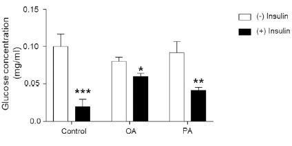Glucose uptake of adipocytes exposed to OLA or PAM The effect of 500 μM OLA or PAM induction cells model on glucose oxidase assay Bar graphs show glucose levels in OLA or PAMinsulin presence  or absence  of six observations expressed as glucose concentration mgml Values are the mean ± SEM Differences between groups were analysed by oneway ANOVA followed by Scheffe test *P  005 **P  001 ***P  0001 vs Control